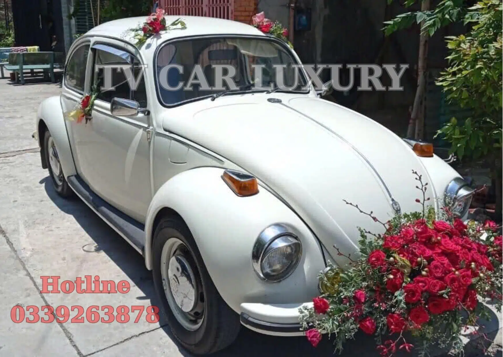 Thuê Xe Carnival TPHCM