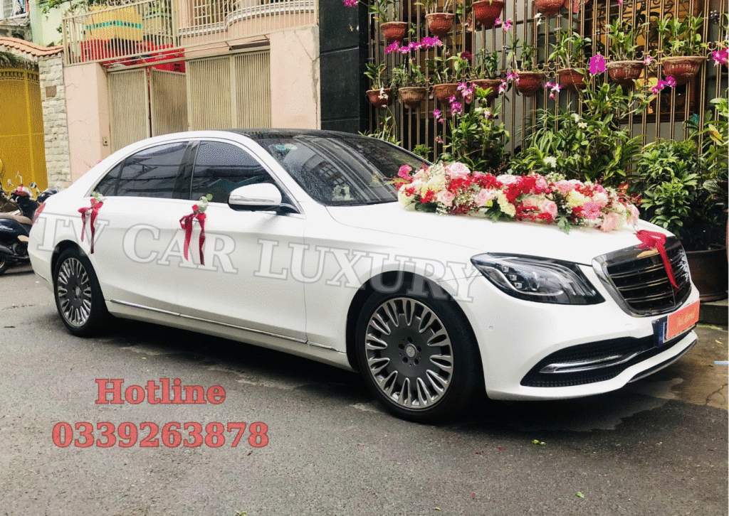 Thuê Xe Carnival TPHCM